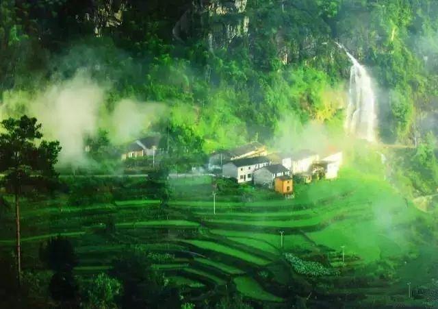 虫虫助手下载