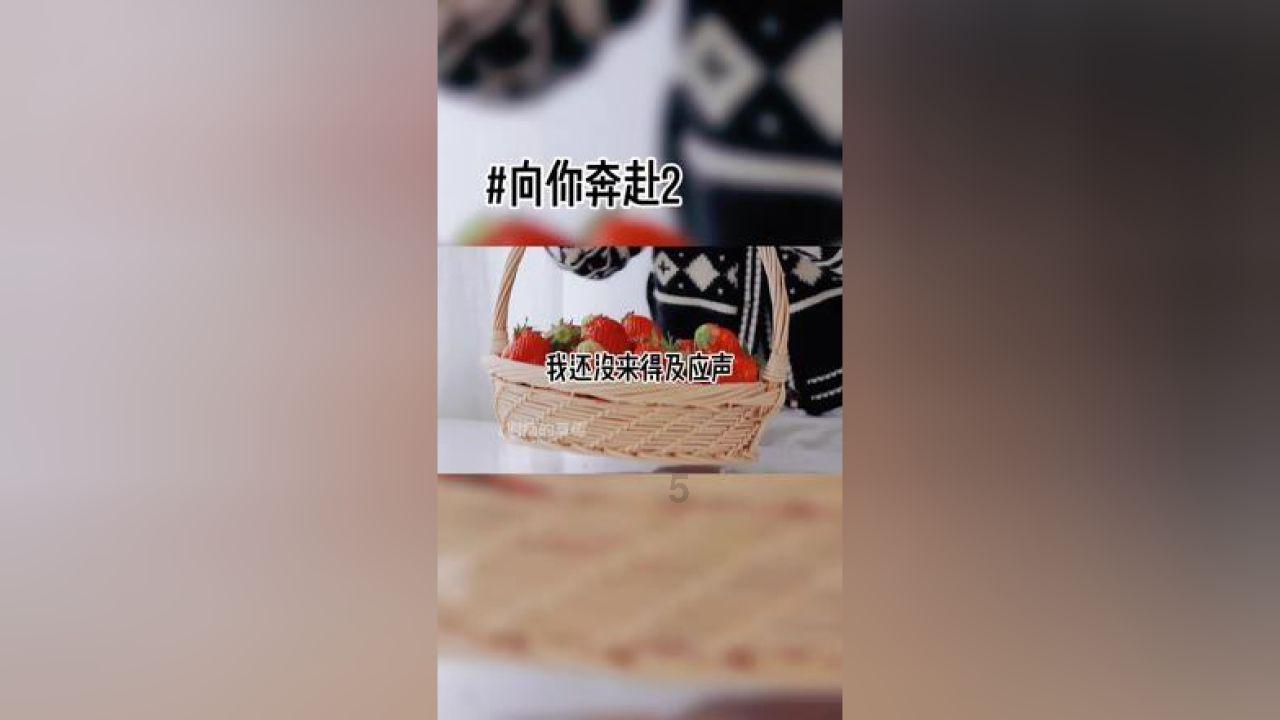 小猫钓鱼开船版最新版下载