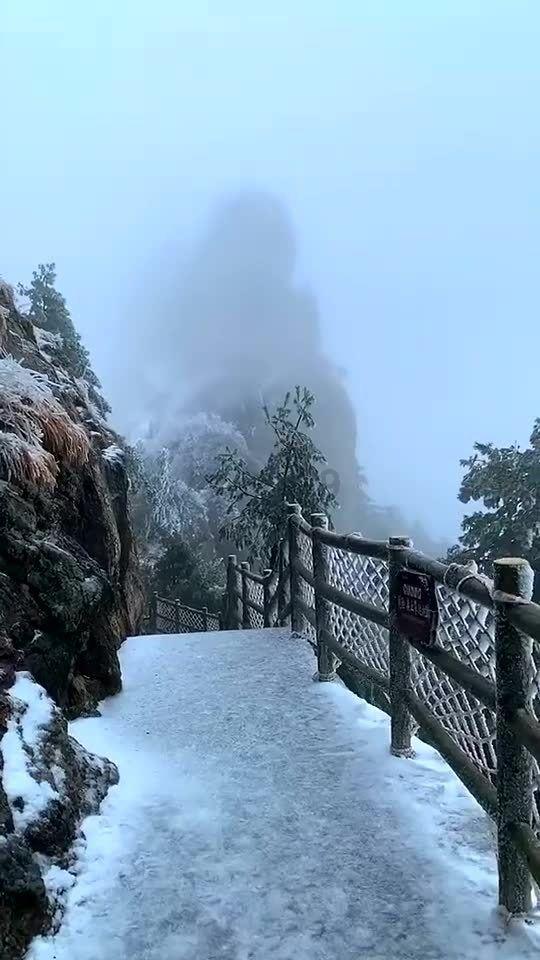 僵尸过人行道