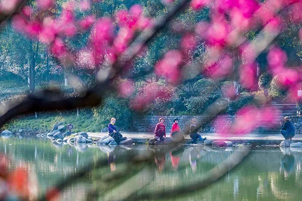 刺激战场