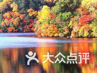 极地大逃亡