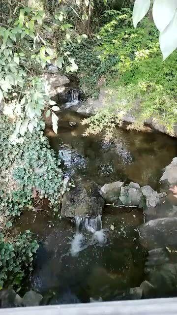 次元喵