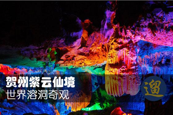 数码宝贝究极对决