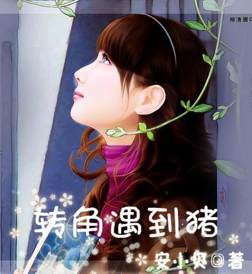 数学男孩