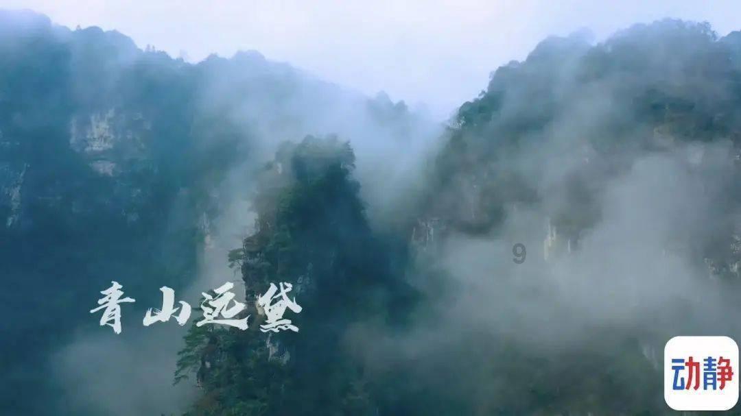 逃离蜥蜴森林