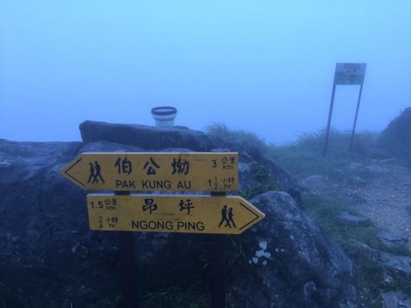 赛罕区公安分局破获一起砸汽车玻璃盗窃案 抓获犯罪嫌疑人1名