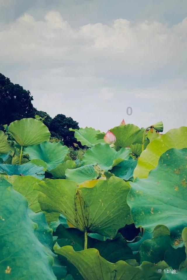 脑洞小老弟无实名认证