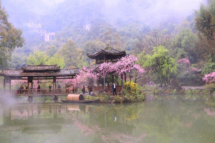 小猫钓鱼游戏龙王版有船