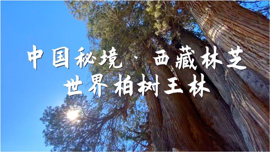 61岁喜剧大师新片撞上《年会不能停》,票房仅1.3万
