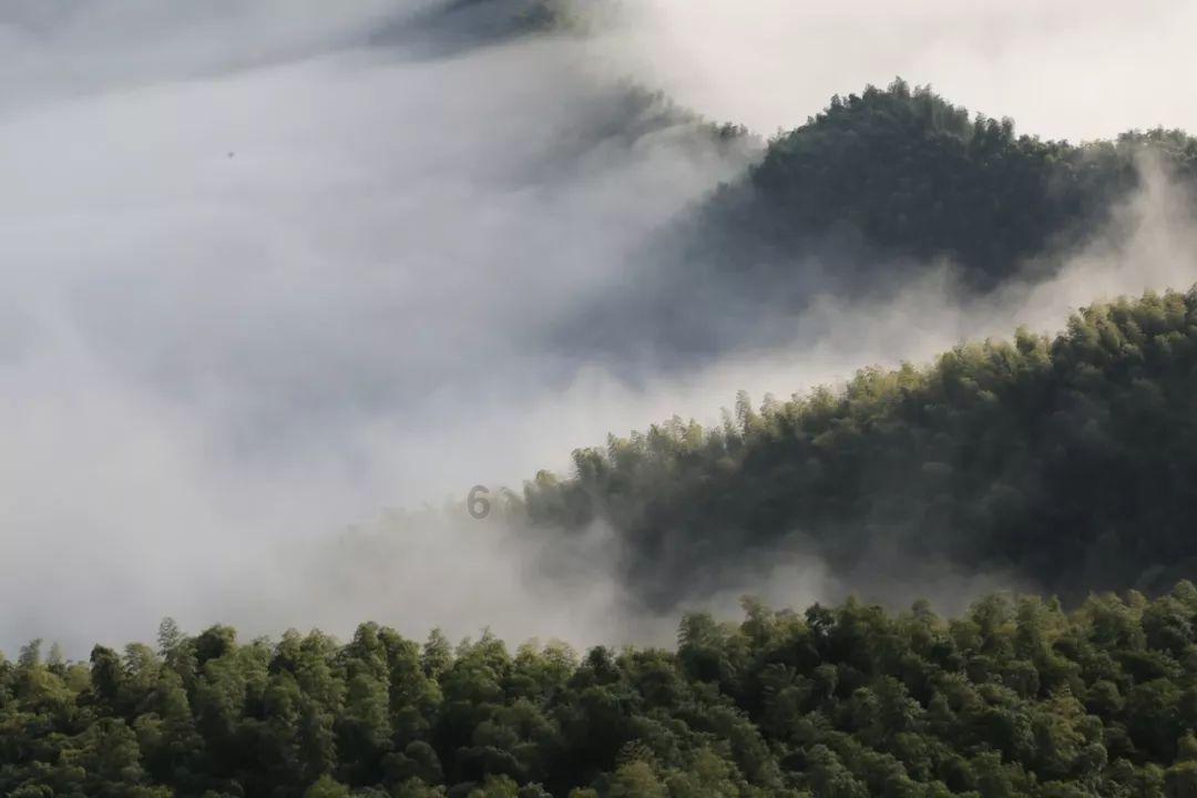 探讨天南地北,天涯与押运员什么时候报名