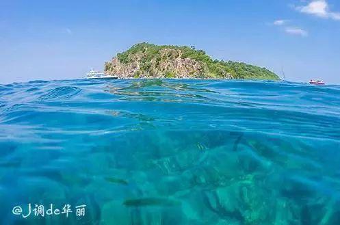 清理草坪