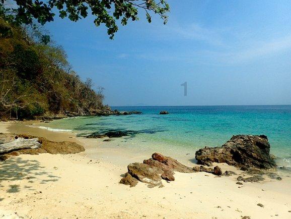 美国遭遇持续低温 冬季风暴已致91人死亡