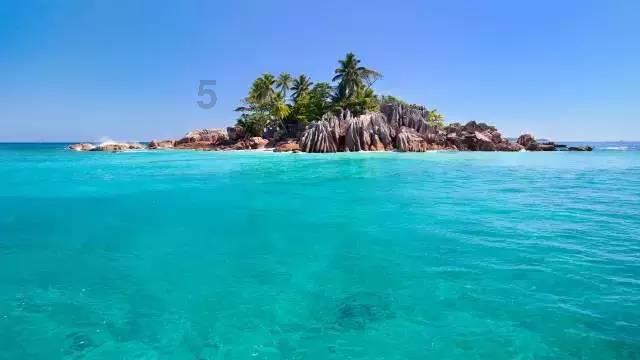 泡沫森林