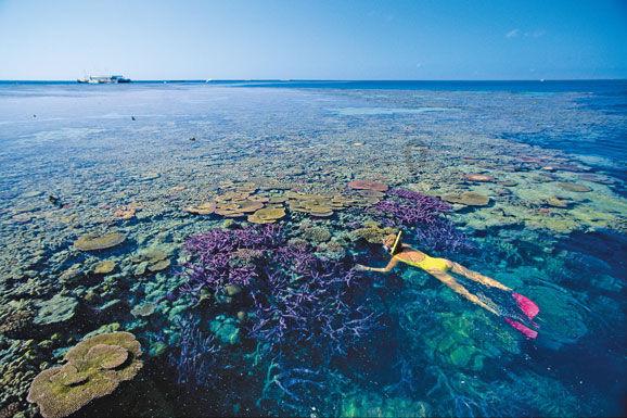 一顿浪漫晚餐