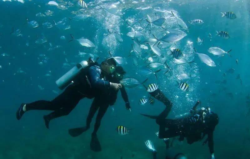 聚焦两会·民生圆桌会 | 刘敏琳代表： 做好健康服务 村民小病不出村