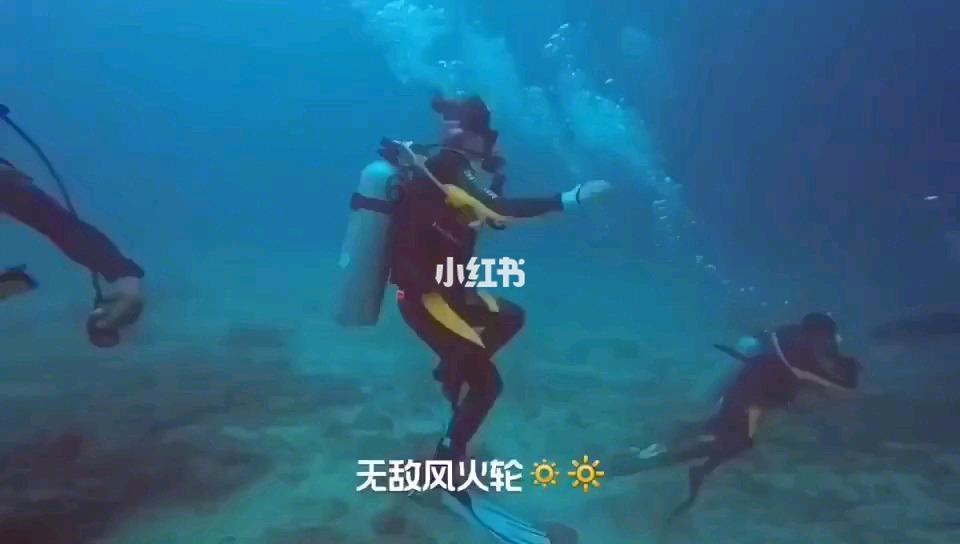 球球大作战下载最新版