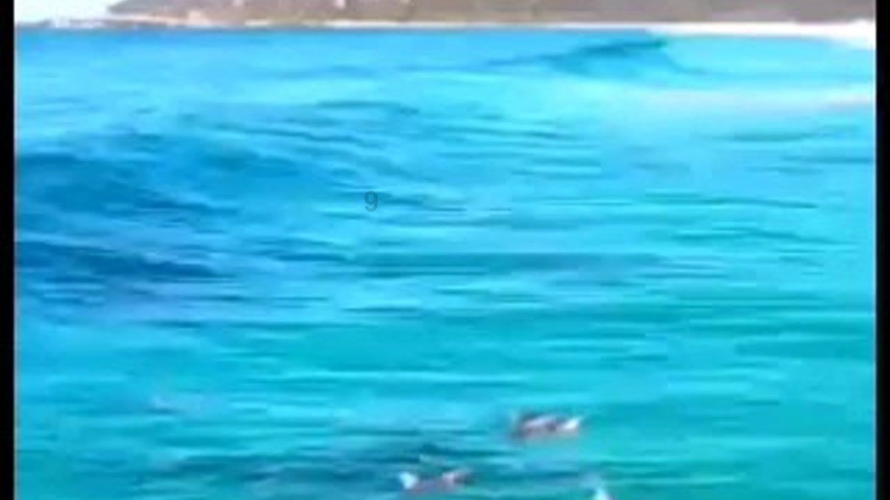 逃离黑砖房间