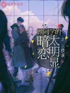 原始丛林找星星