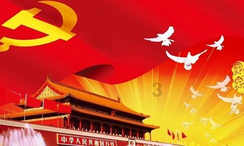 海口宠物店否认虐待寄养宠物:离职员工恶意剪辑,已报警