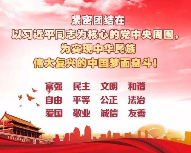 可爱的小考拉