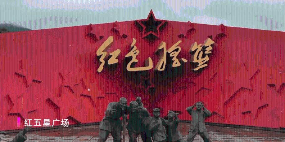 动物帮帮忙保卫家园