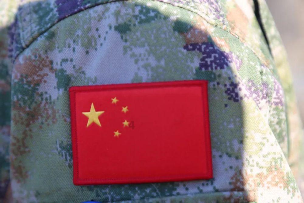 这是什么鸟？喜鹊吗？游戏画面