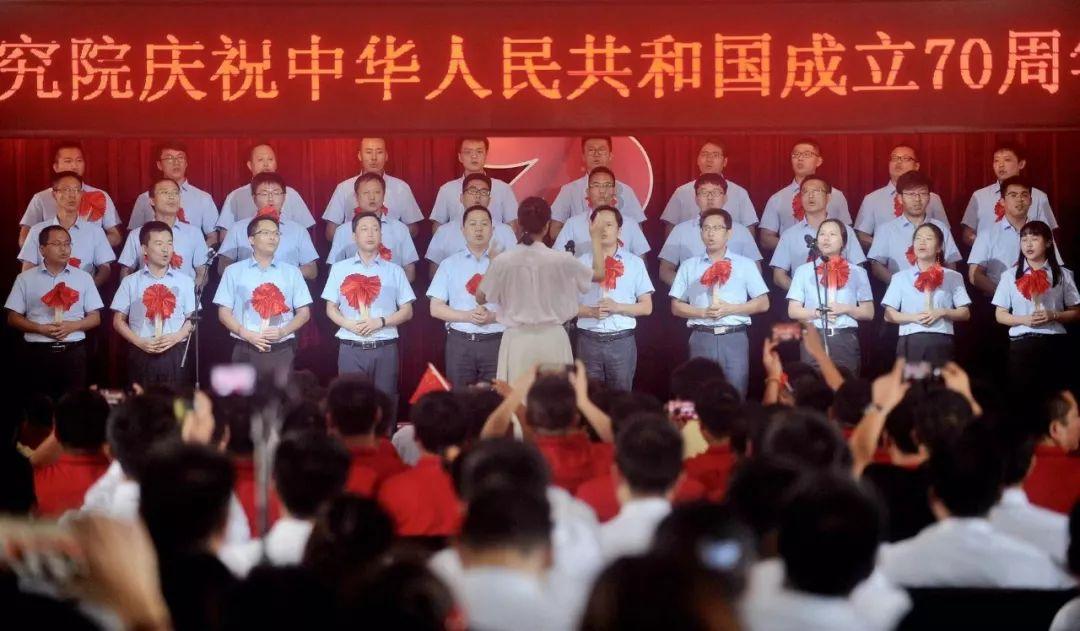 救援猫与武士