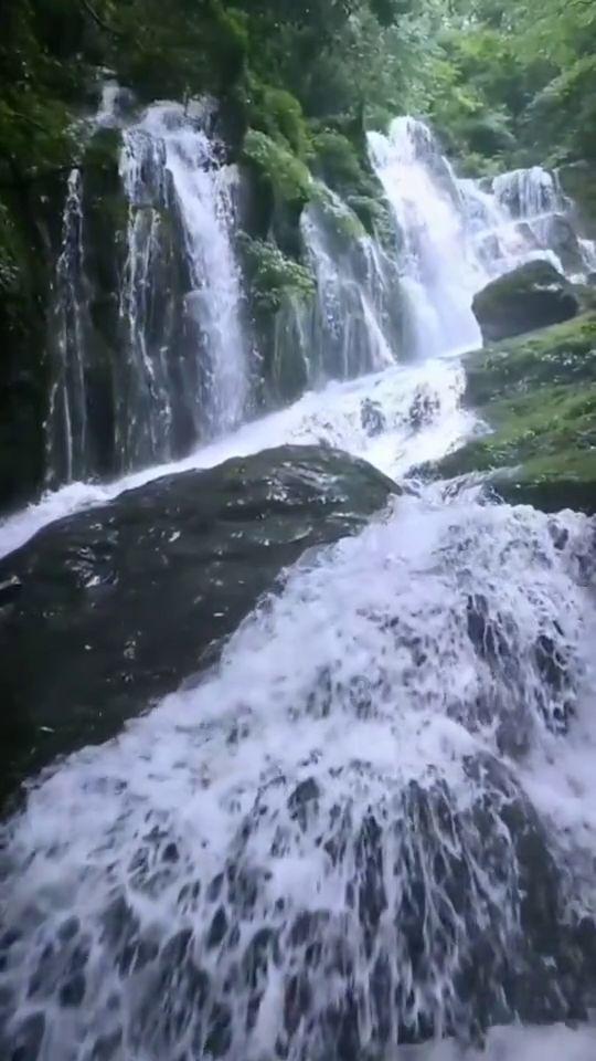 蜗牛寻新房7