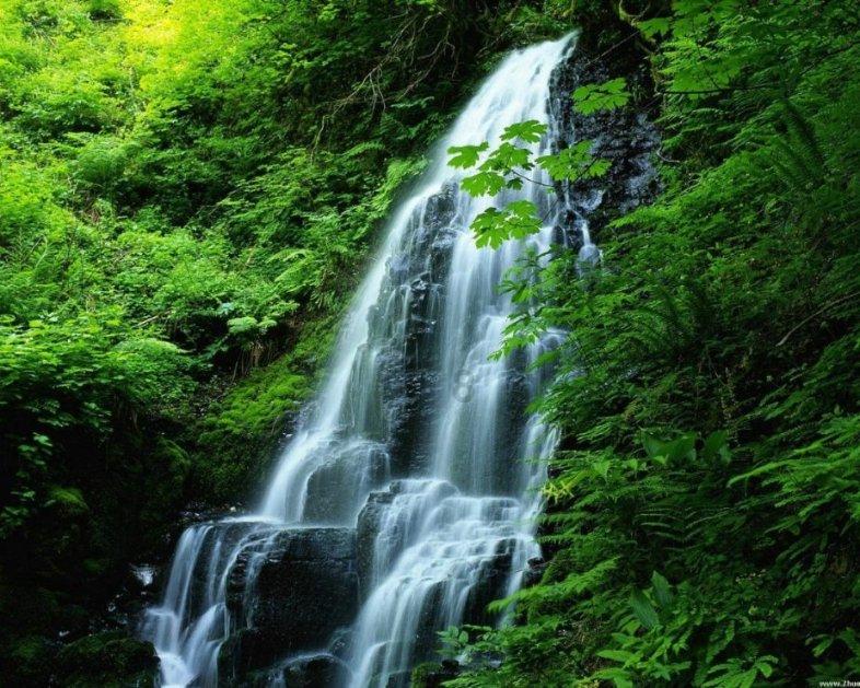 虫虫助手下载