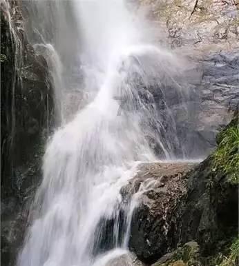 圆团里的团圆年