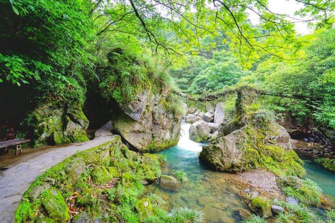 神秘的岛屿