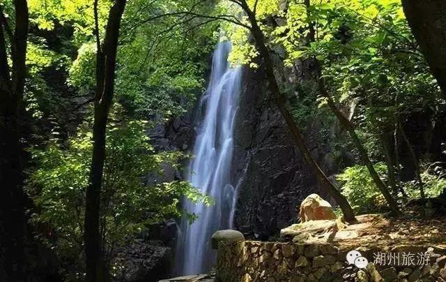 细胞分裂6
