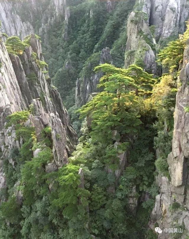 这位“老糖友”做对了什么?