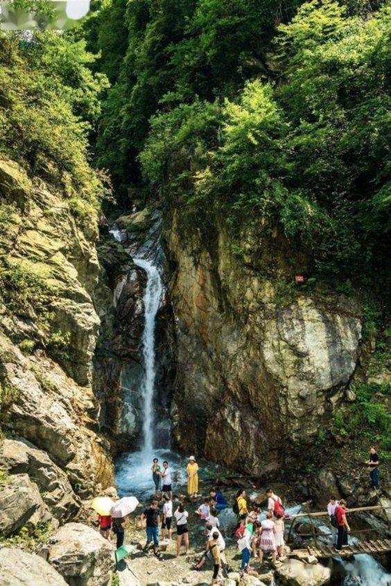 美丽江西 绿色筑梯向“高地”