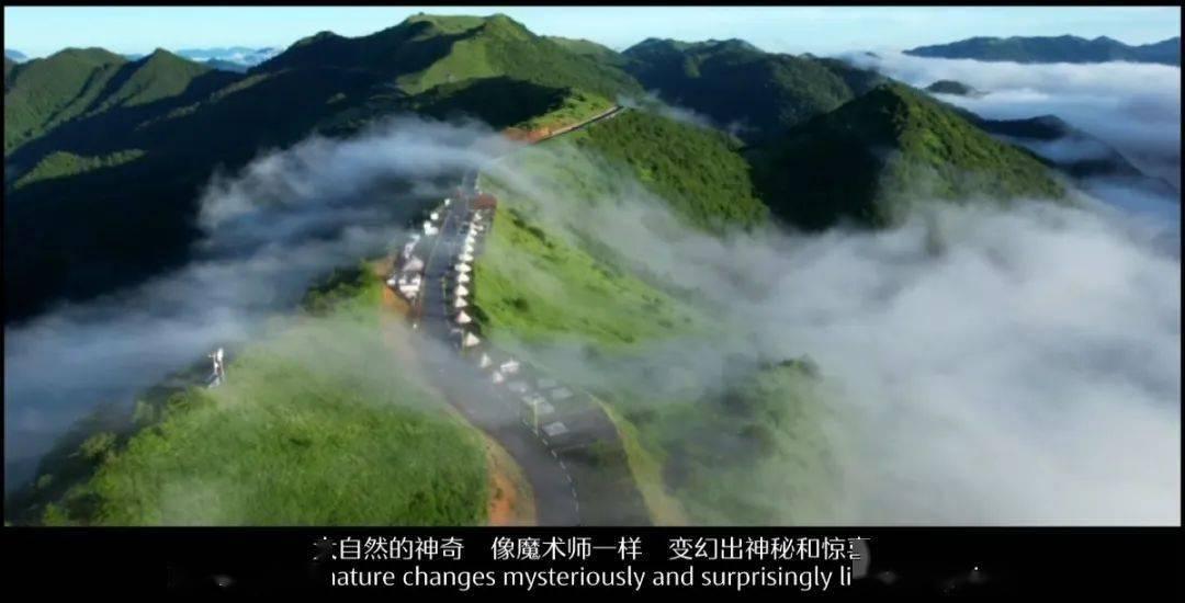 俞灏明一辈子不会忘的兄弟，受伤后连夜赶来陪伴，张杰和他的关系有多好？游戏画面