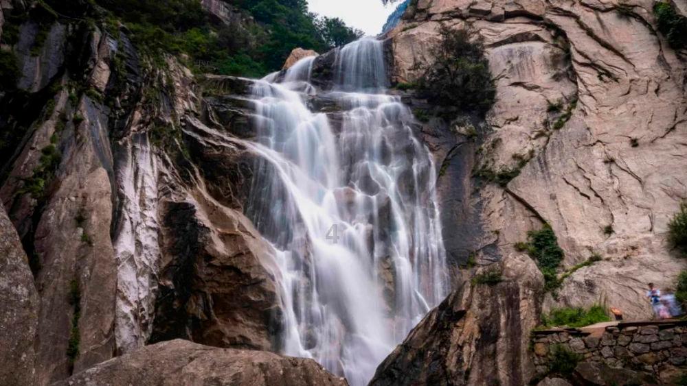 青岛礼物持续,网友点名的“青岛神水”出场 |“老外”也来凑热闹