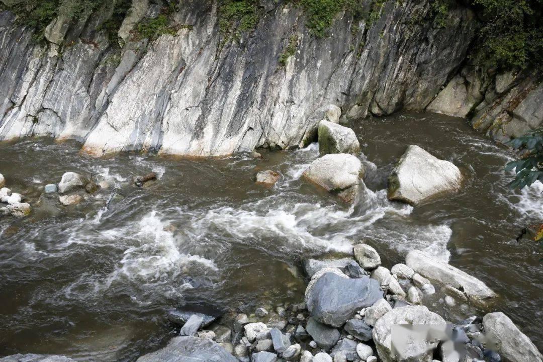 济南发布35个数字消费场景 培育消费新业态