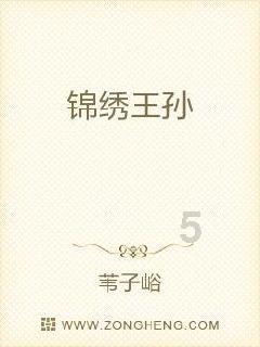 空中大战斗