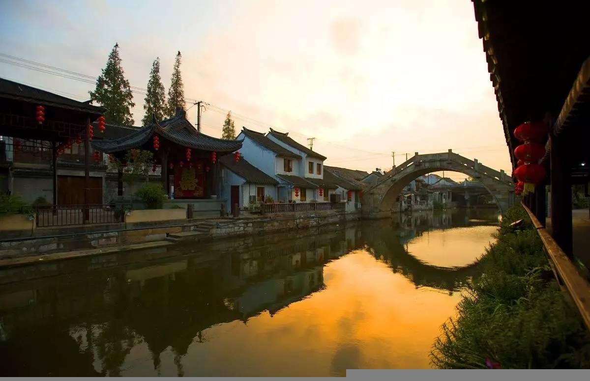 逃离鱼店