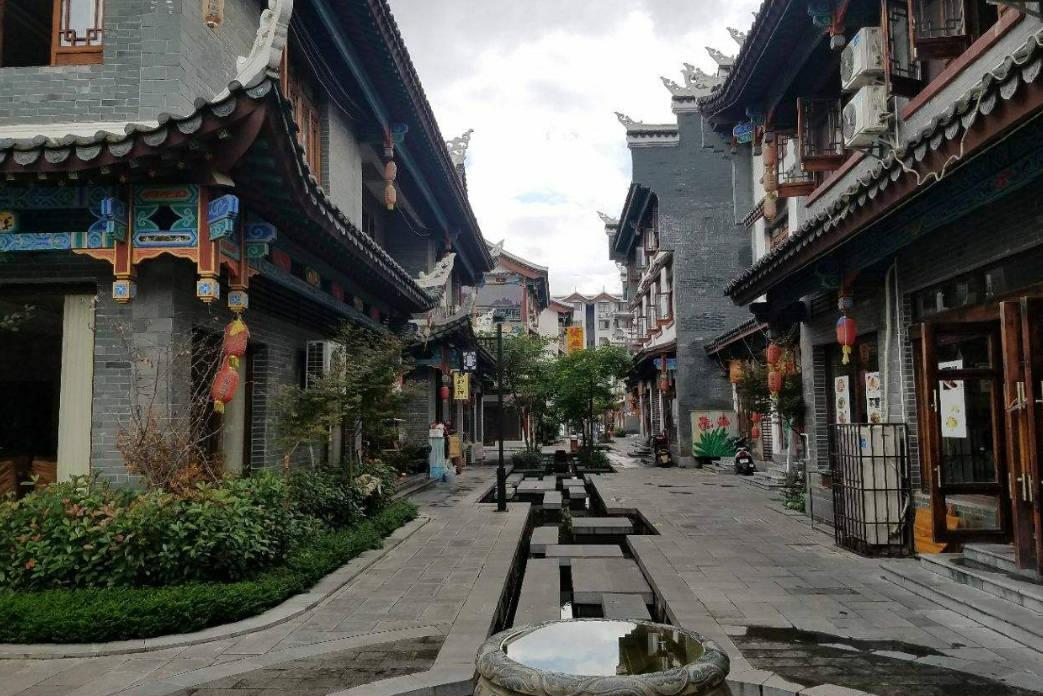 逃离未知丛林