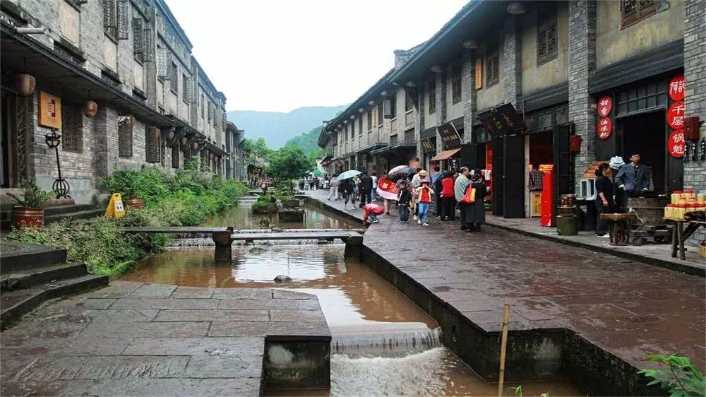 动物帮帮忙保卫家园