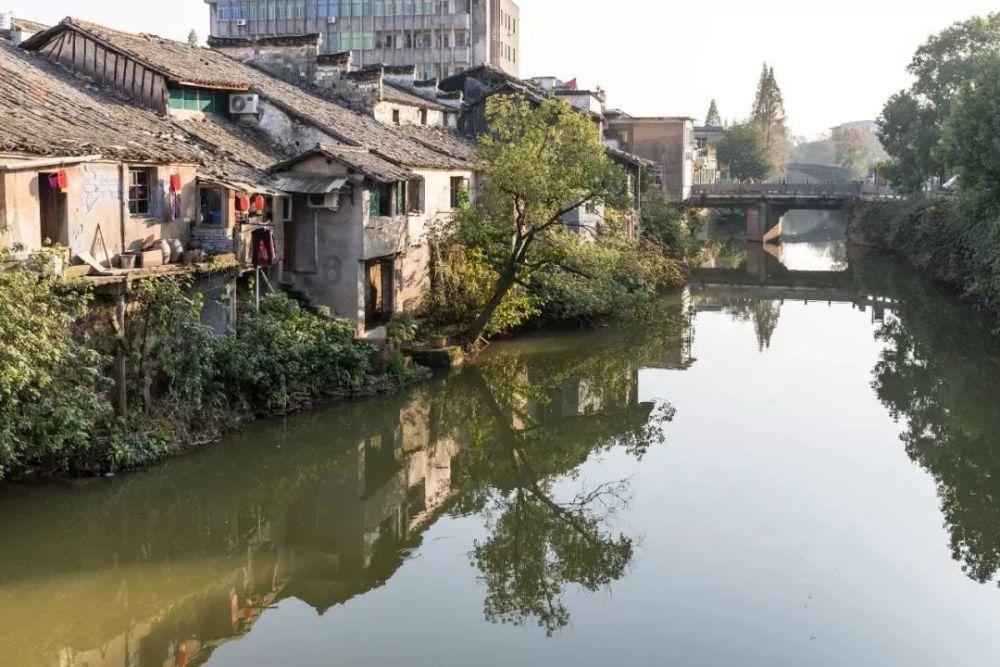 深入了解冷知识的如何挑选西瓜?平台,轻松涨知识
