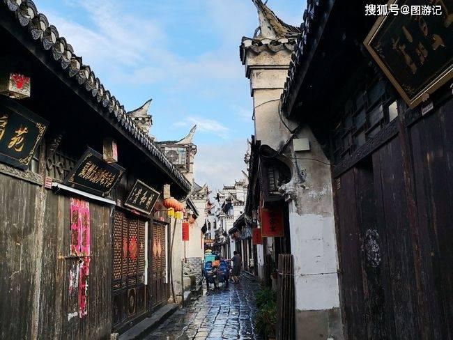 遇上这只猫，才知道什么叫瞬间治愈！太可爱了好想哭……