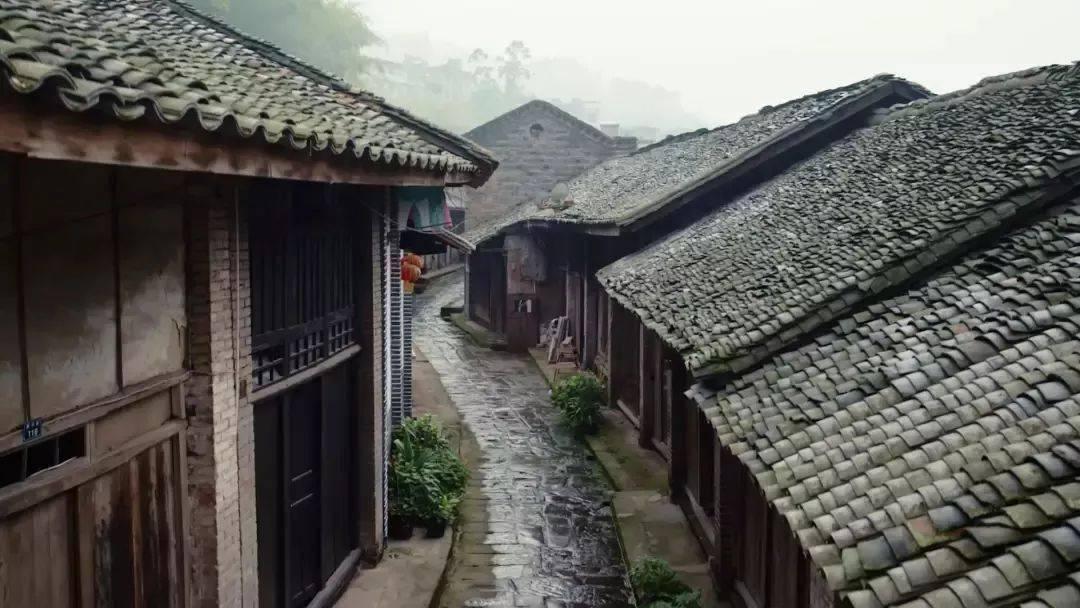 植物大战僵尸20
