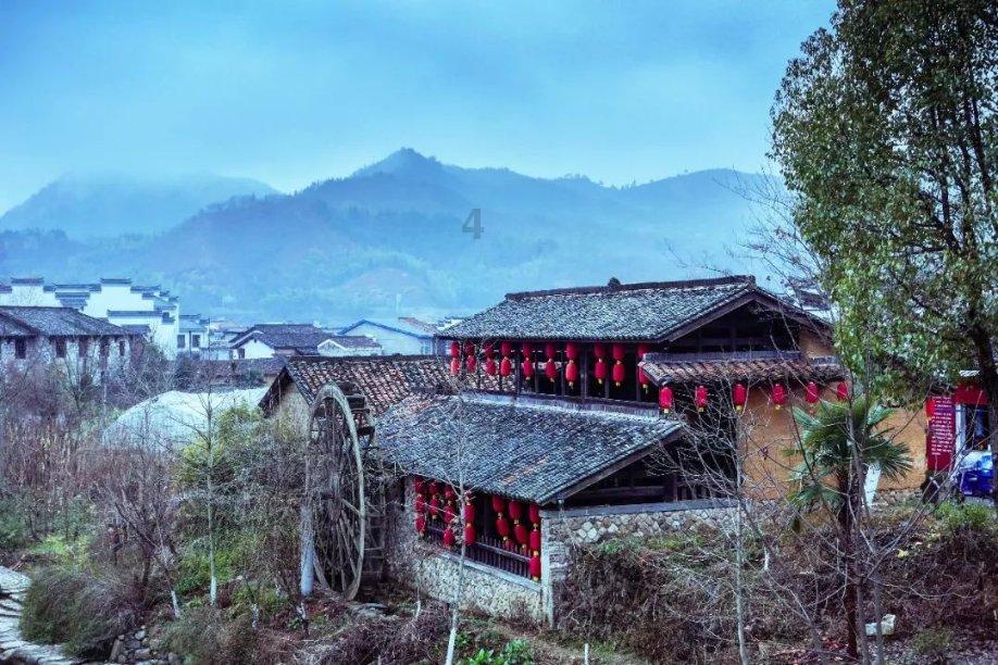苹果期权聚焦:1月30日成交67.72万张,未平仓合约532.82万张