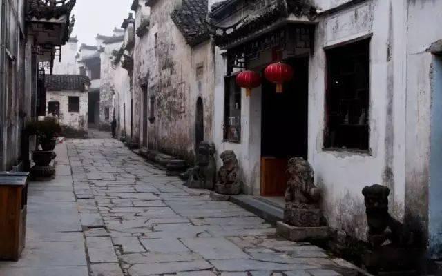 植物大战僵尸1