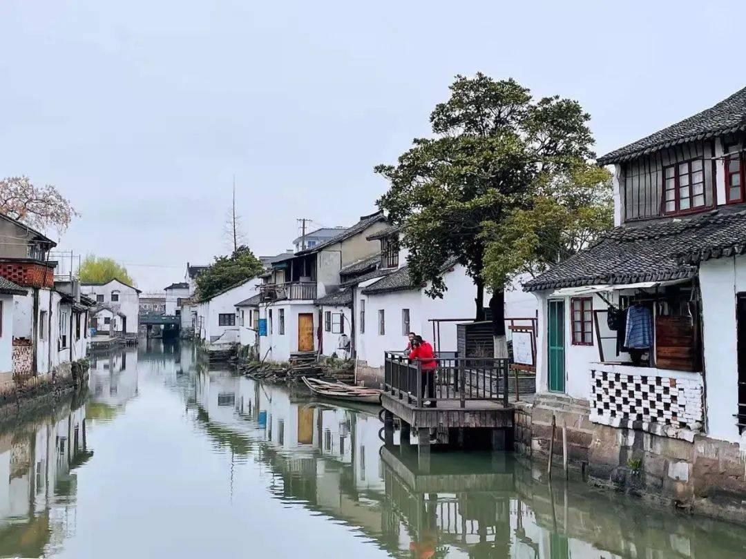 动物帮帮忙保卫家园