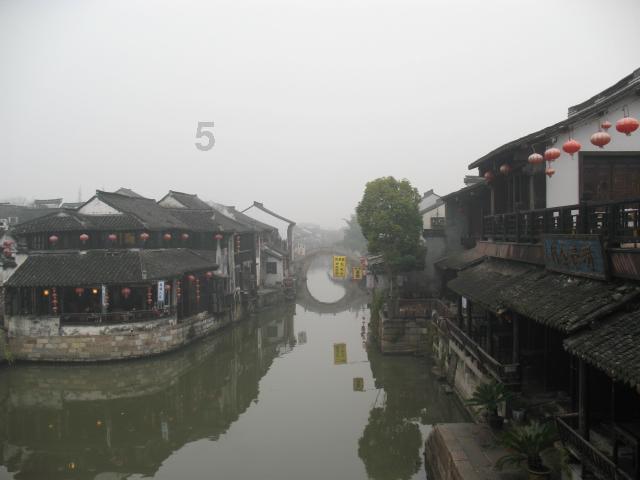 植物大战僵尸16