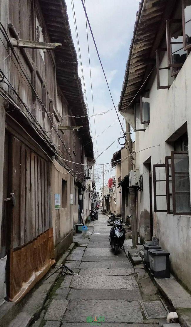 冷知识分享平台手机怎么玩问道端游?,让你满满收获