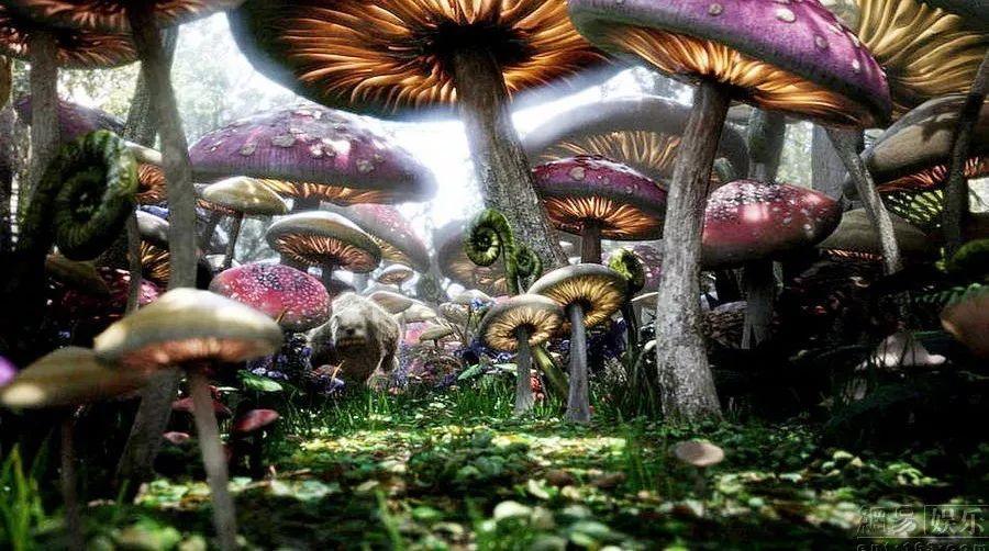 沪江开心词场